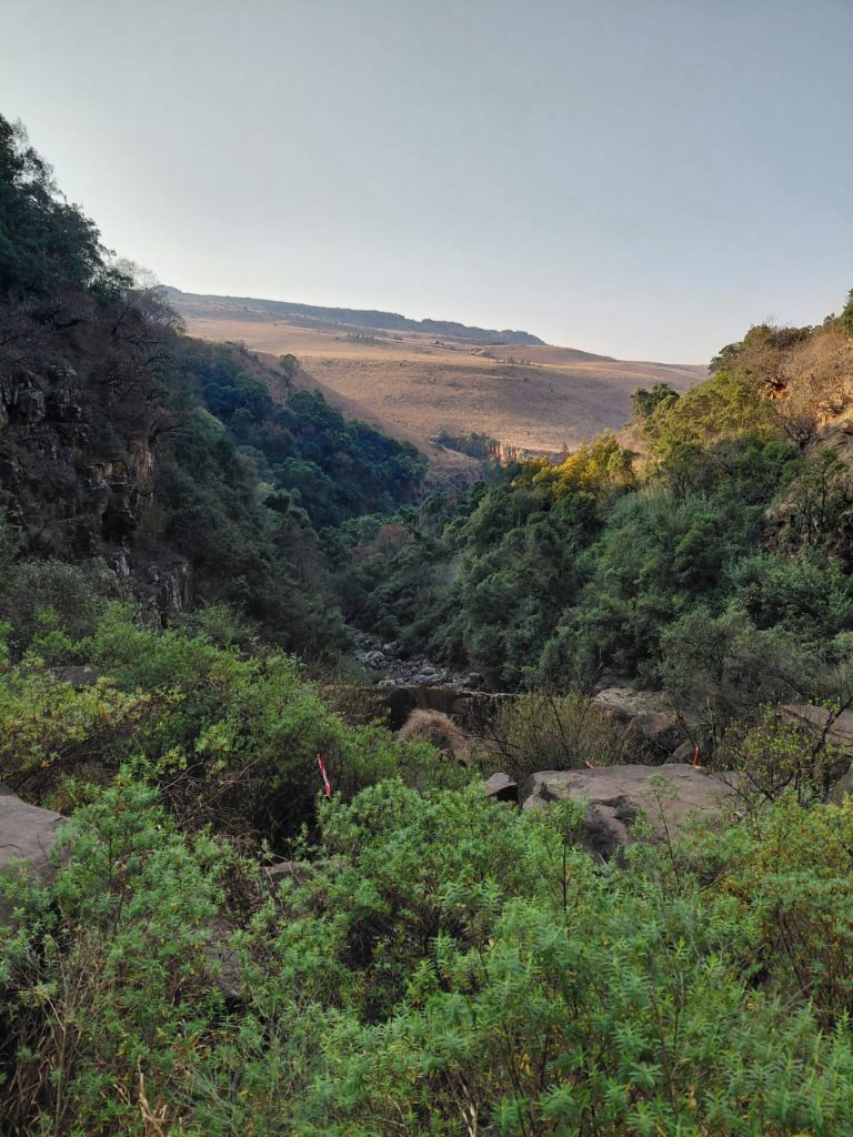 IMG-20250831-WA0062